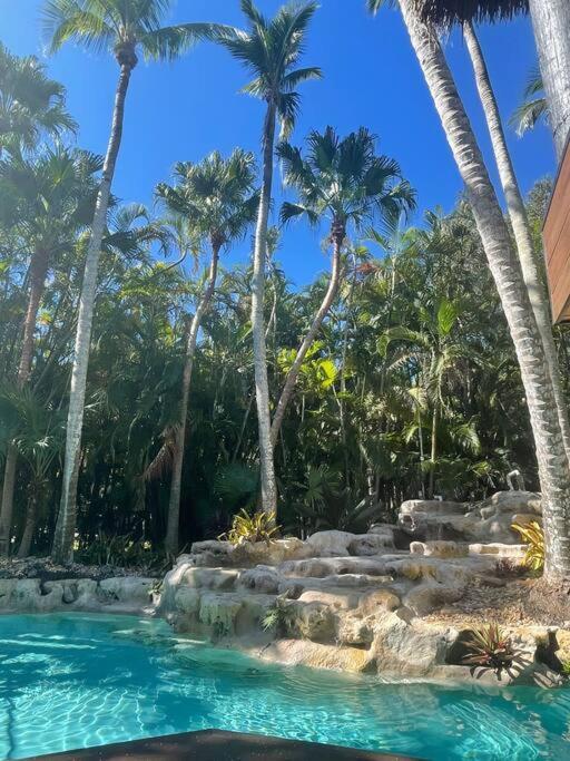 Tropical Oasis Miami