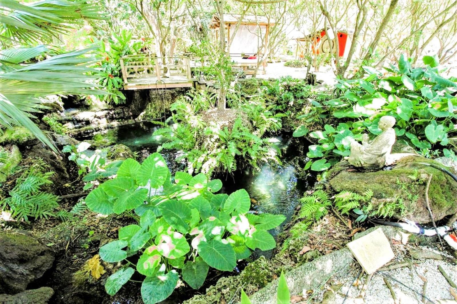 Magical Wonderkoi House In A Japanese Koi Garden *