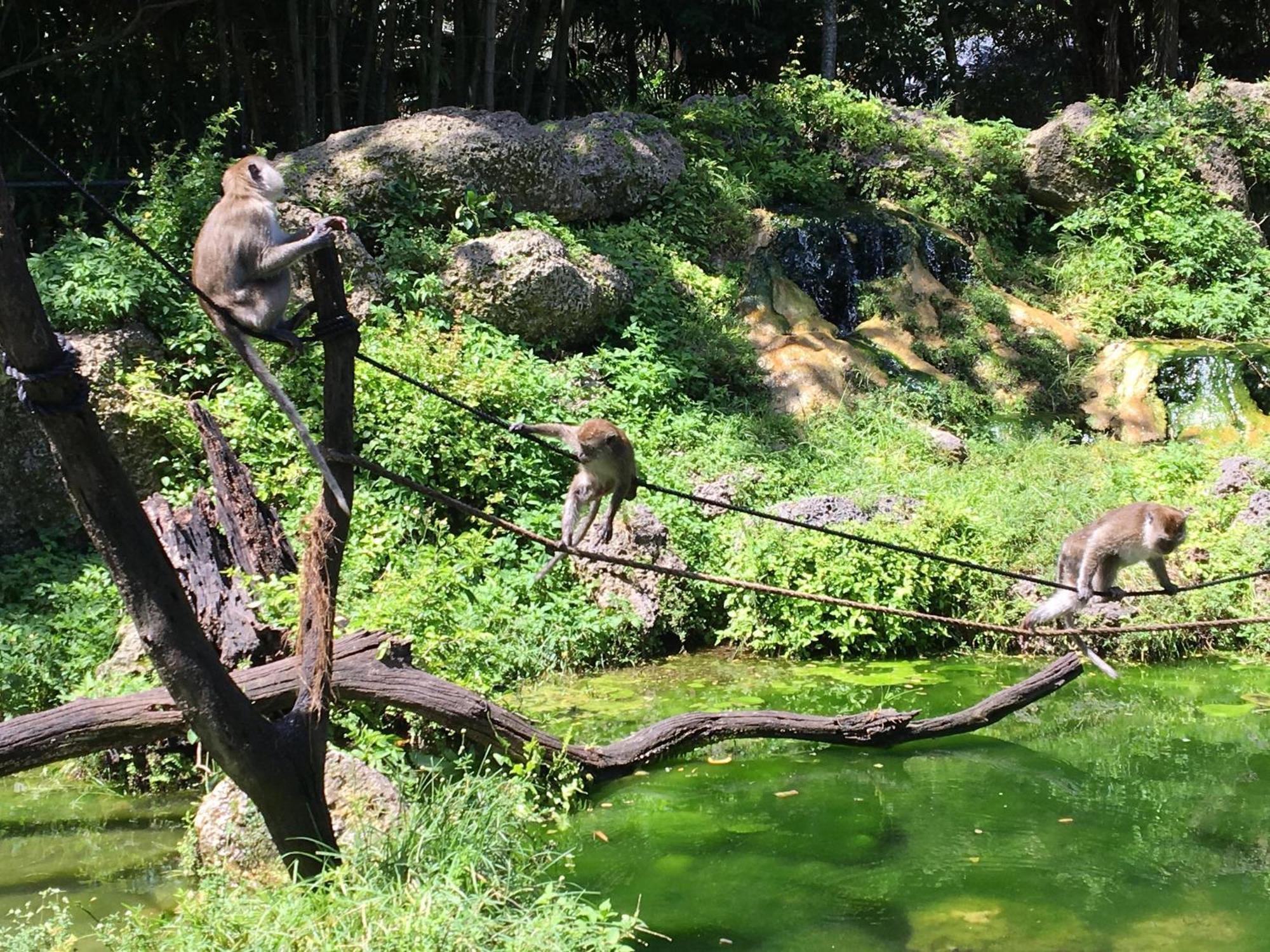 Magical Wonderkoi House In A Japanese Koi Garden Casa de férias