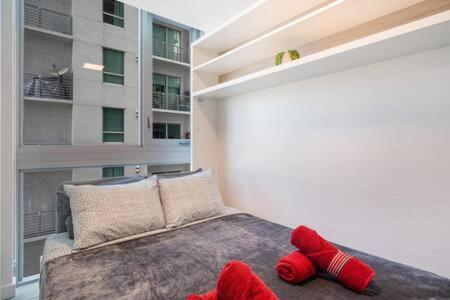 Explore Miami's Heat - Cozy Pool & Gym
