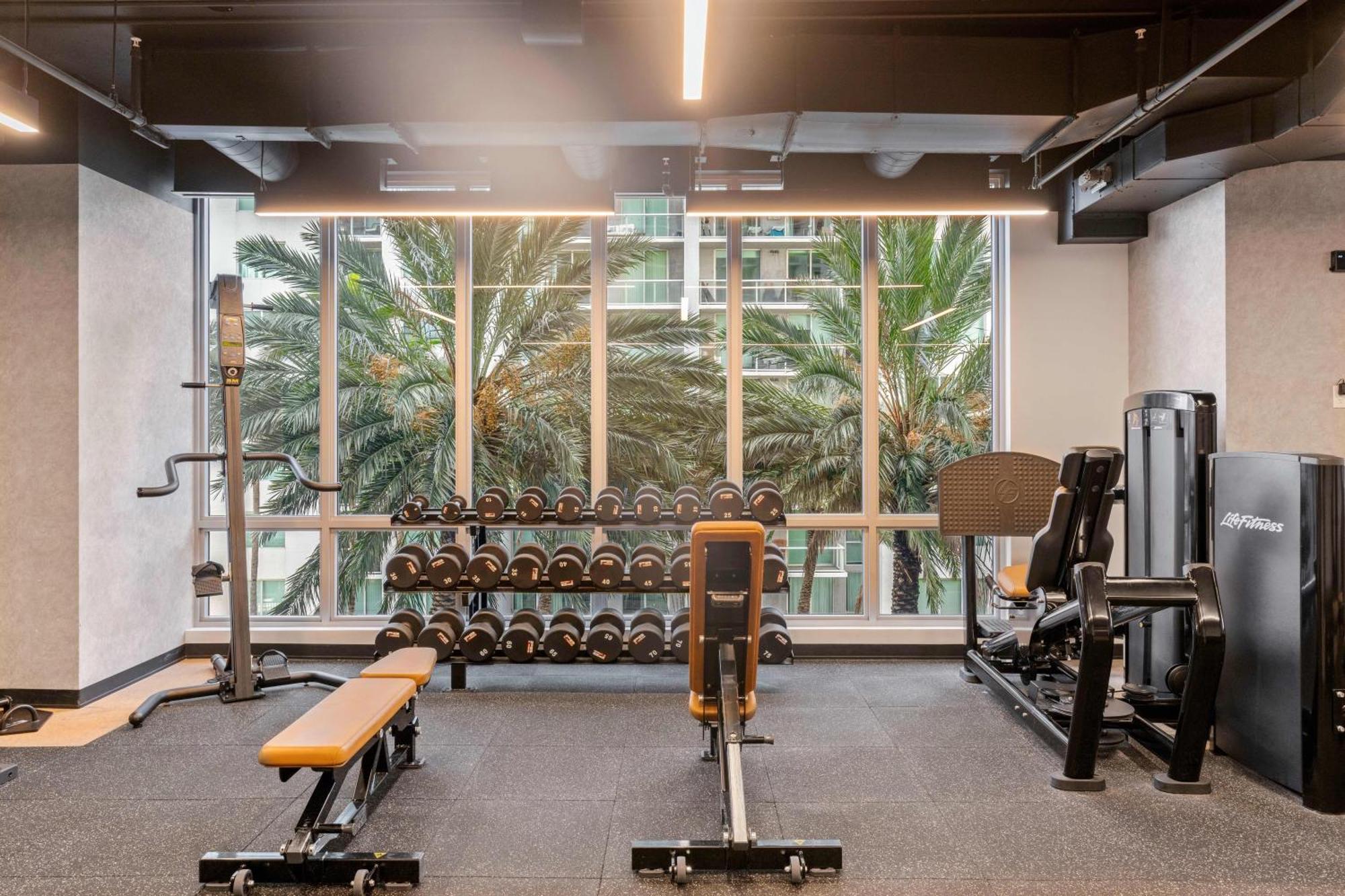 - Casiola Studio's - Near Cruise Terminal, Bayfront Park And Kaseya Center Miami