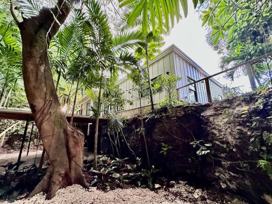 Holiday home Coconut Grove Mid-century Jungle Oasis Miami