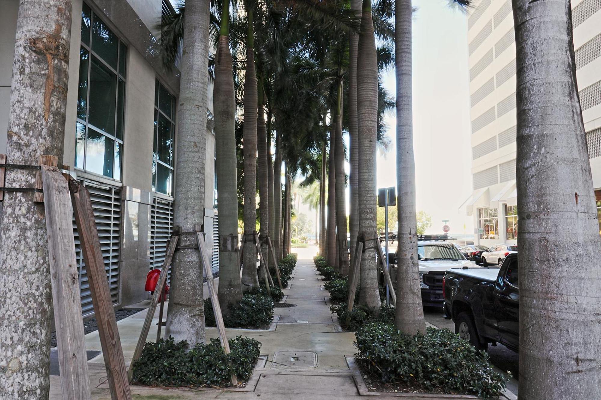 Upscale In The Heart Of Brickell Apartment