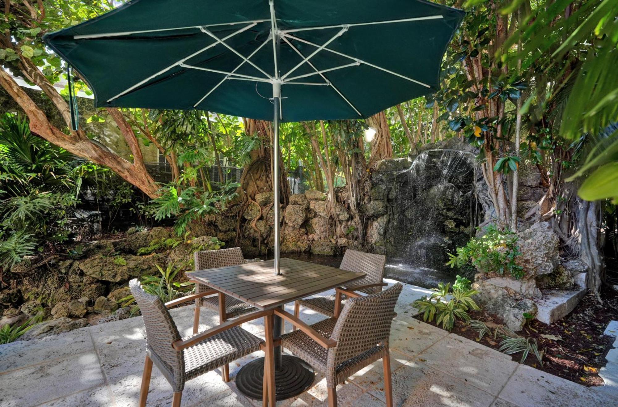 Treetop Retreat! Cozy 2 Bedroom In Heart Of Grove Miami