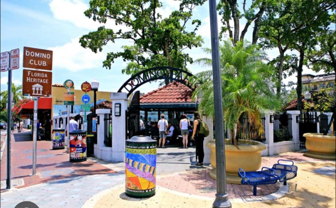 Blue Little Havana