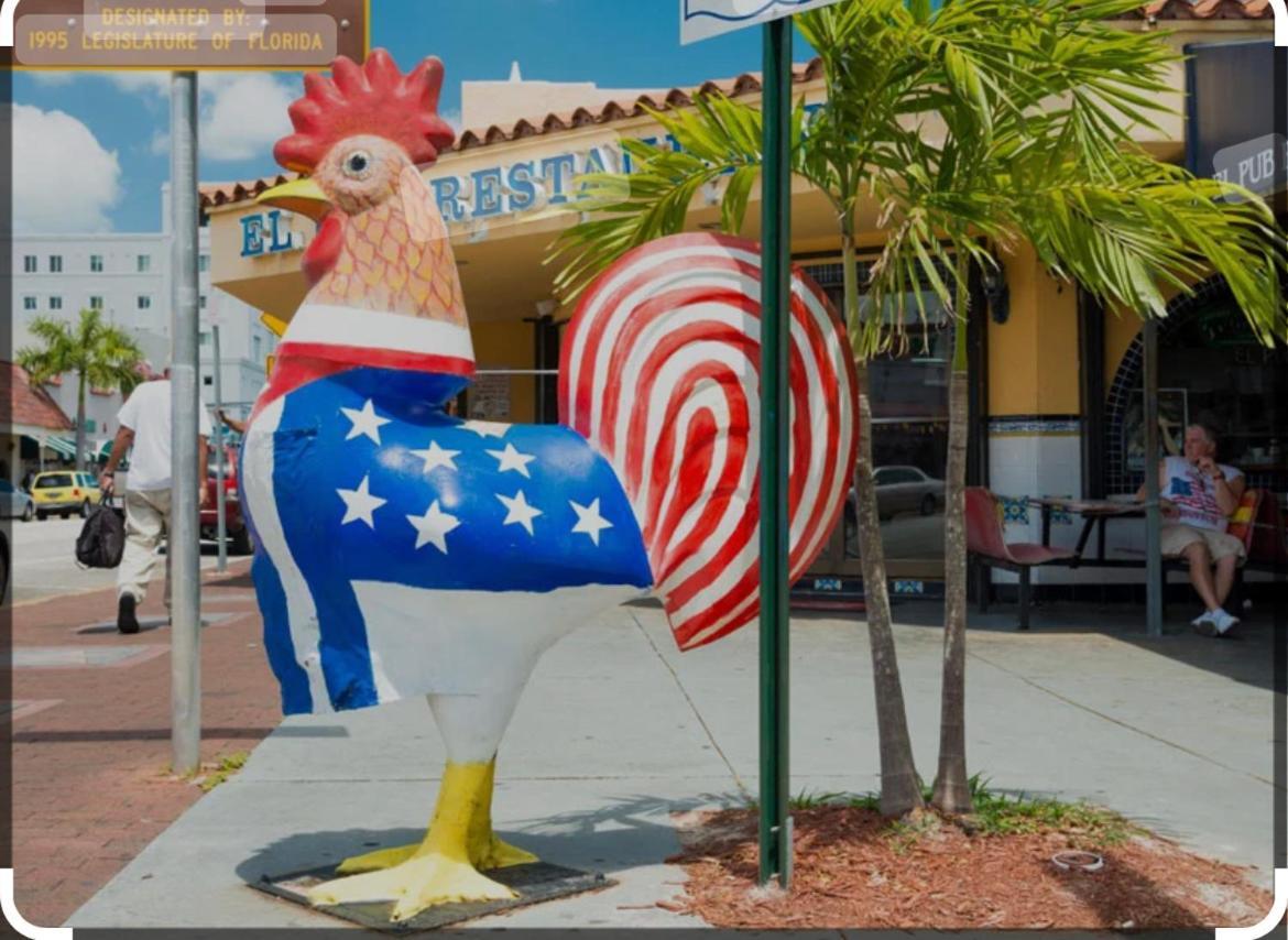 Casa de hóspedes Blue Little Havana
