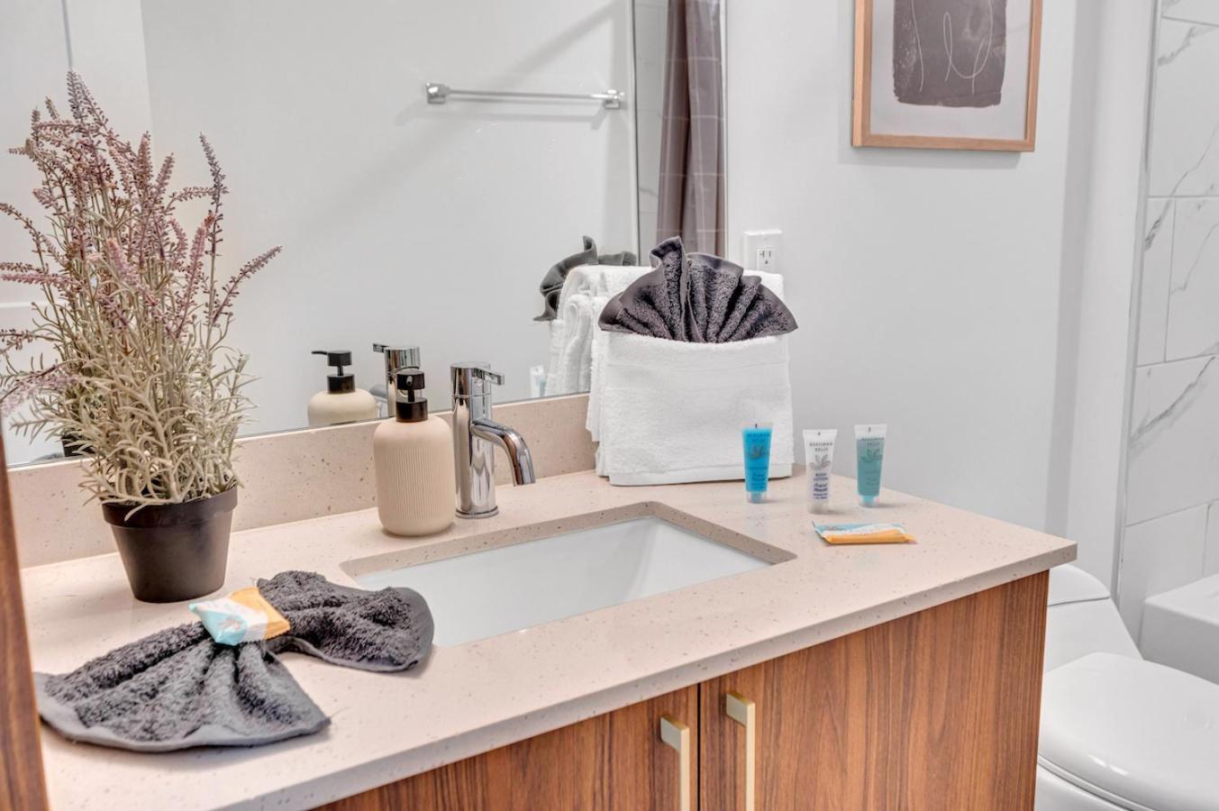 Amazing Unit In Downtown With Free Parking Apartment *