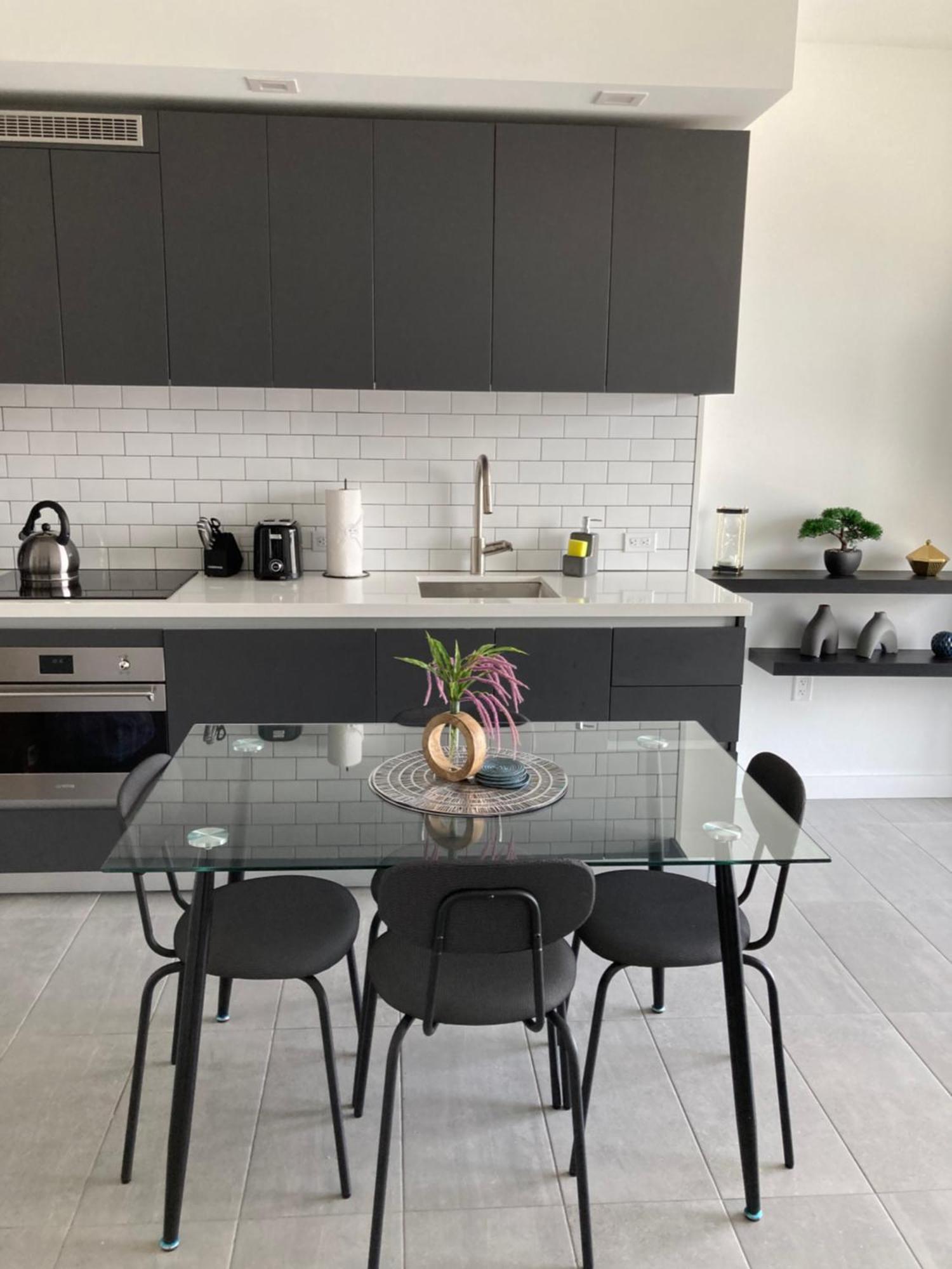 Brand New Modern 1 Bedroom Unit Downtown Apartment