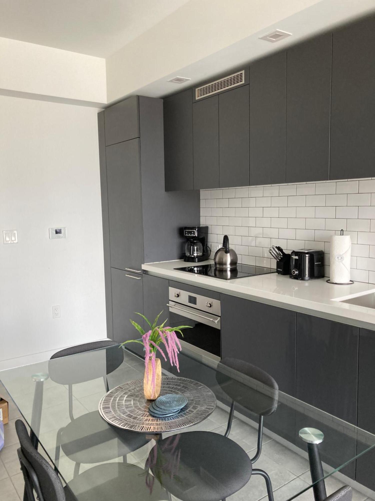 Apartment Brand New Modern 1 Bedroom Unit Downtown