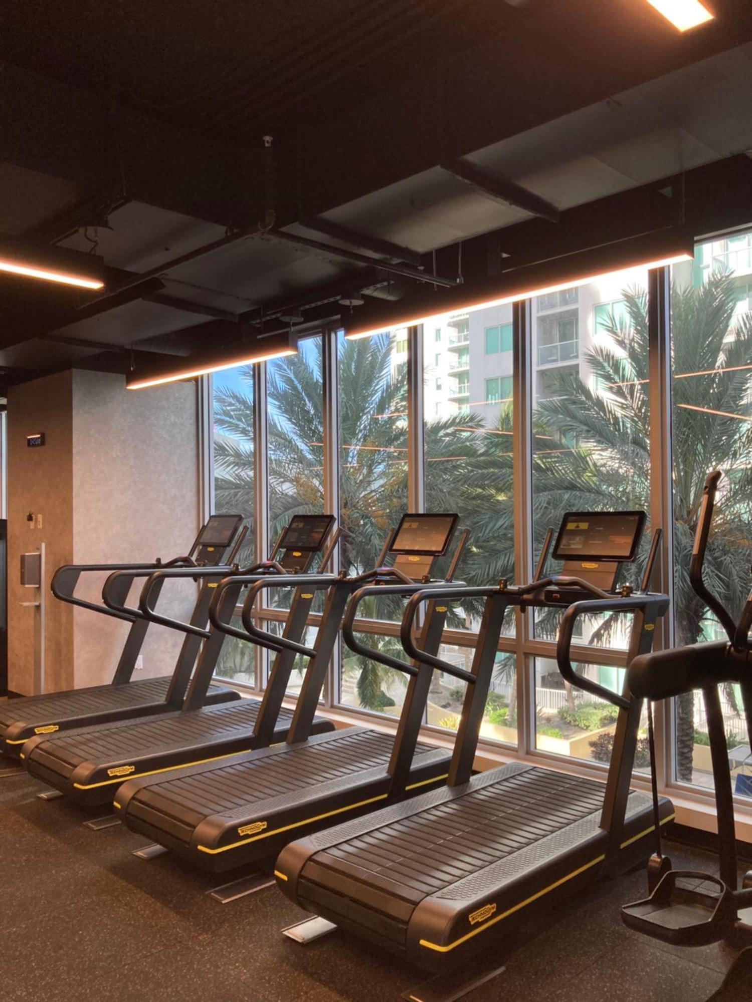 Brand New Modern 1 Bedroom Unit Downtown Apartment *