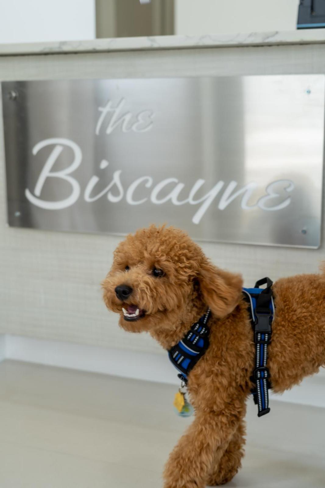 Hotel The Biscayne *