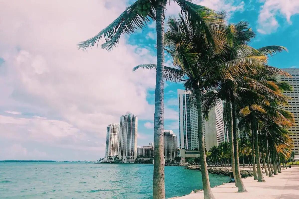 Apartment Aurora - Rooftop Pool, Gym, Walk To Downtown & Brickell