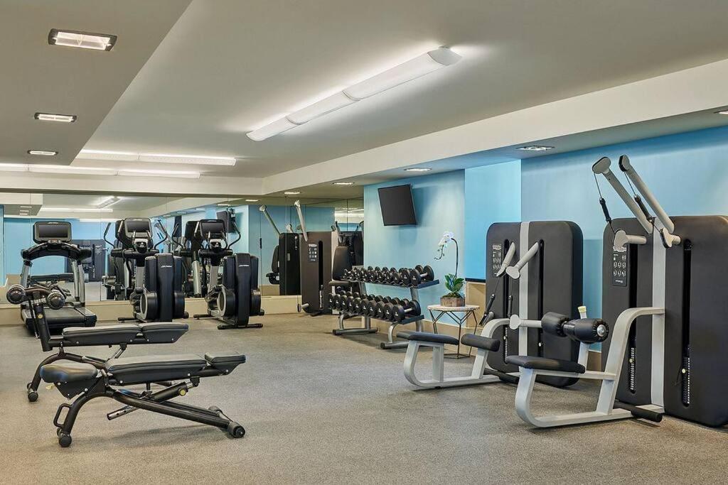 Luxury Executive Apartment Miami