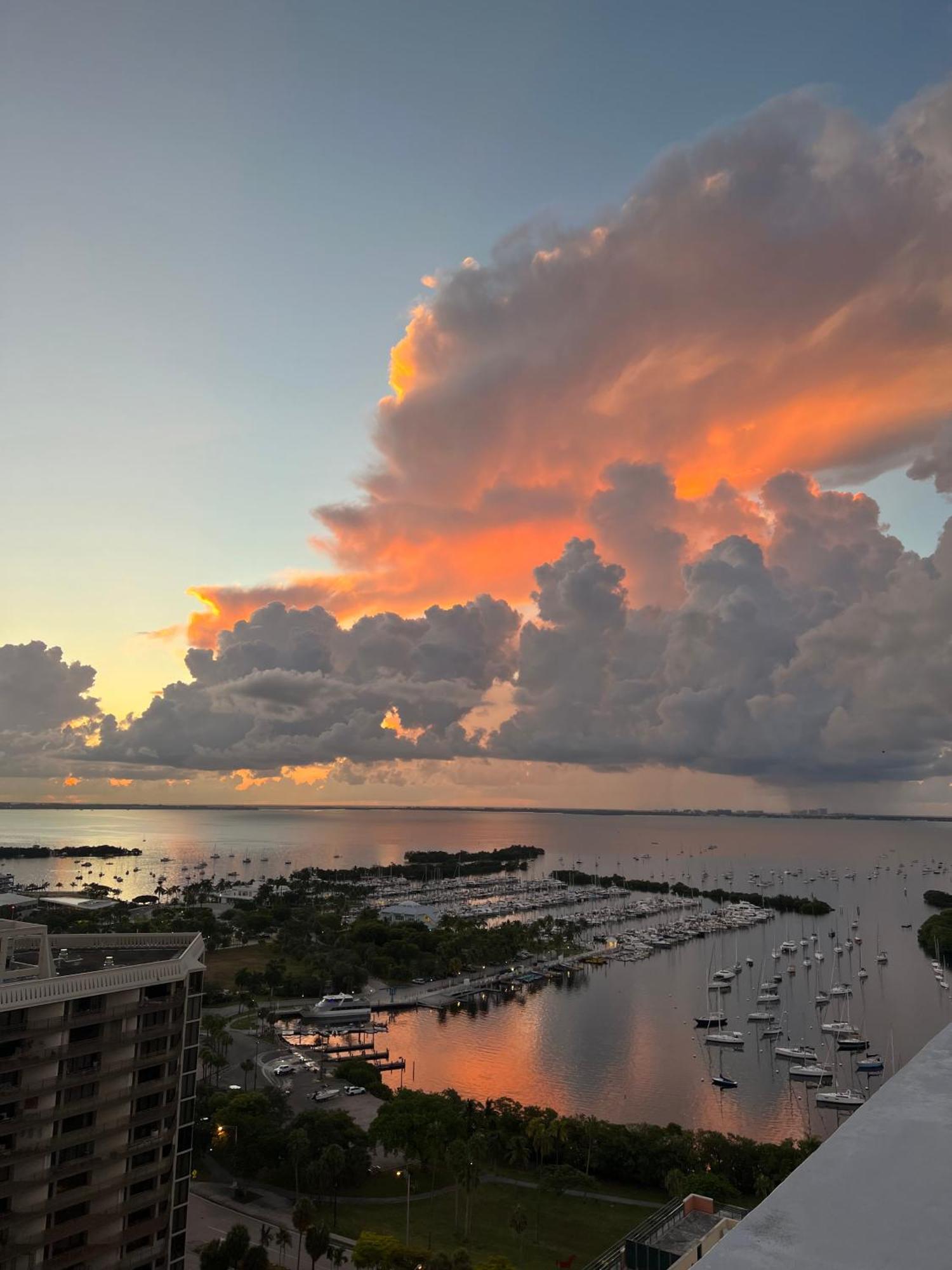 Luxury Penthouse With Private Rooftop Terrace In Coconut Grove