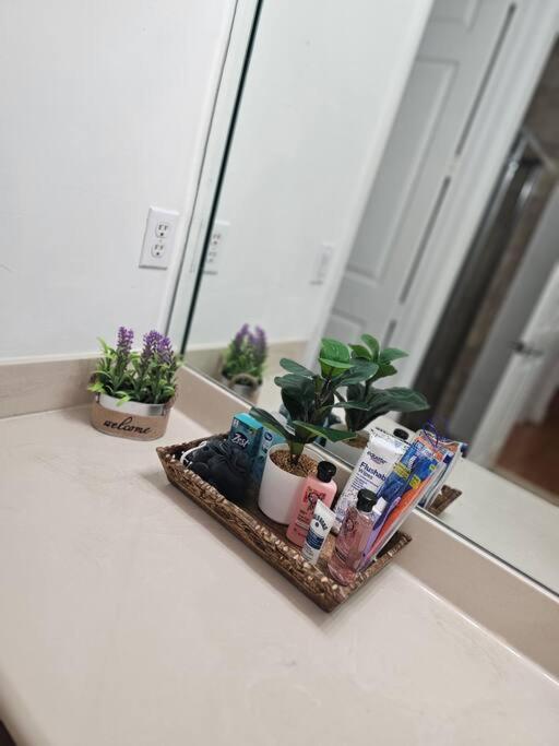 Apartment D&n *