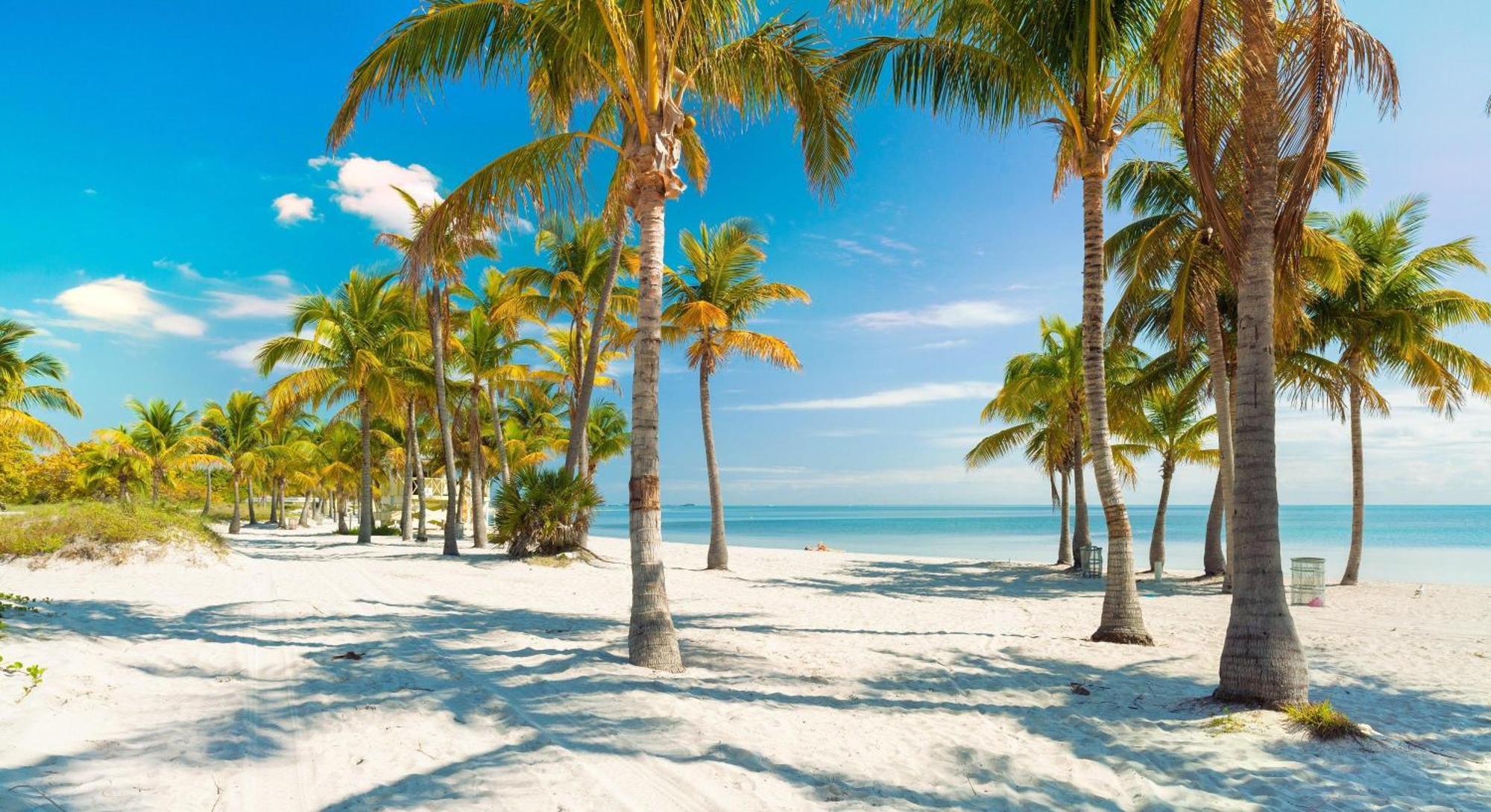 Designer W Pool & Firepit - 7 Min To Brickell Holiday home Miami