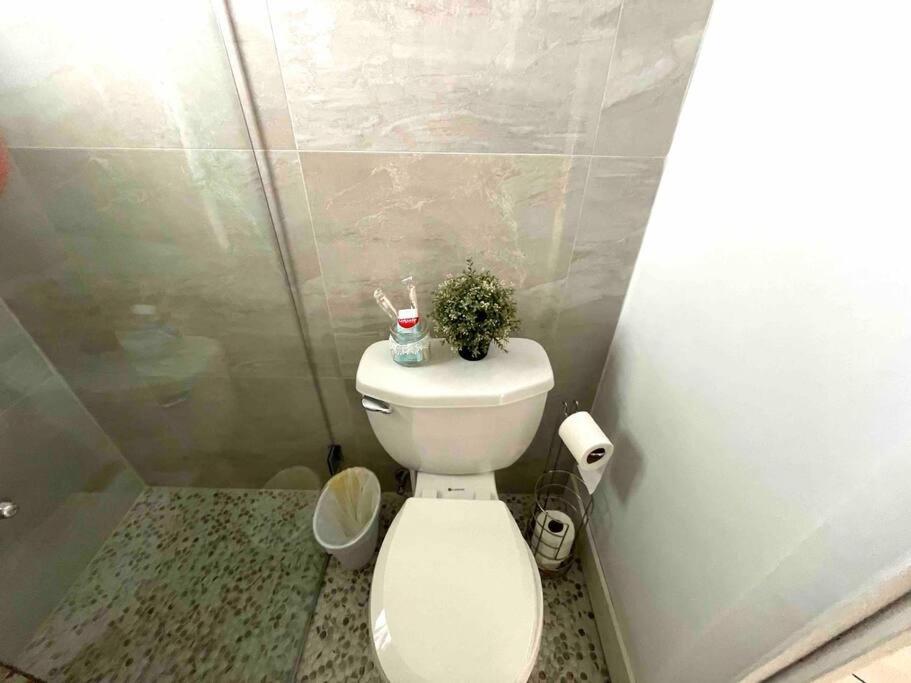 Homestay Private In The Heart Of Calle Ocho *