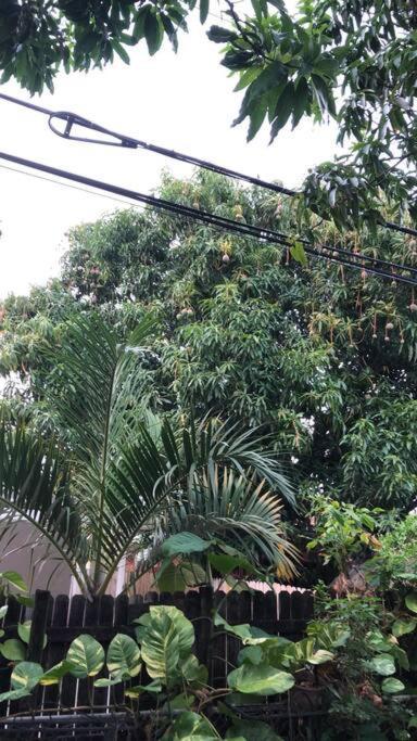 Private In The Heart Of Calle Ocho Homestay *