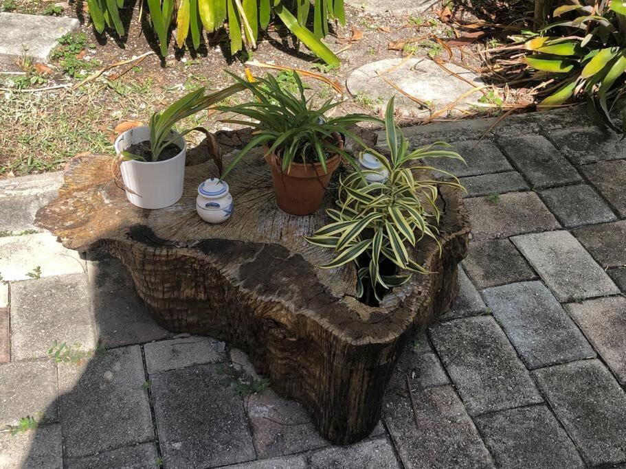 Private In The Heart Of Calle Ocho Homestay