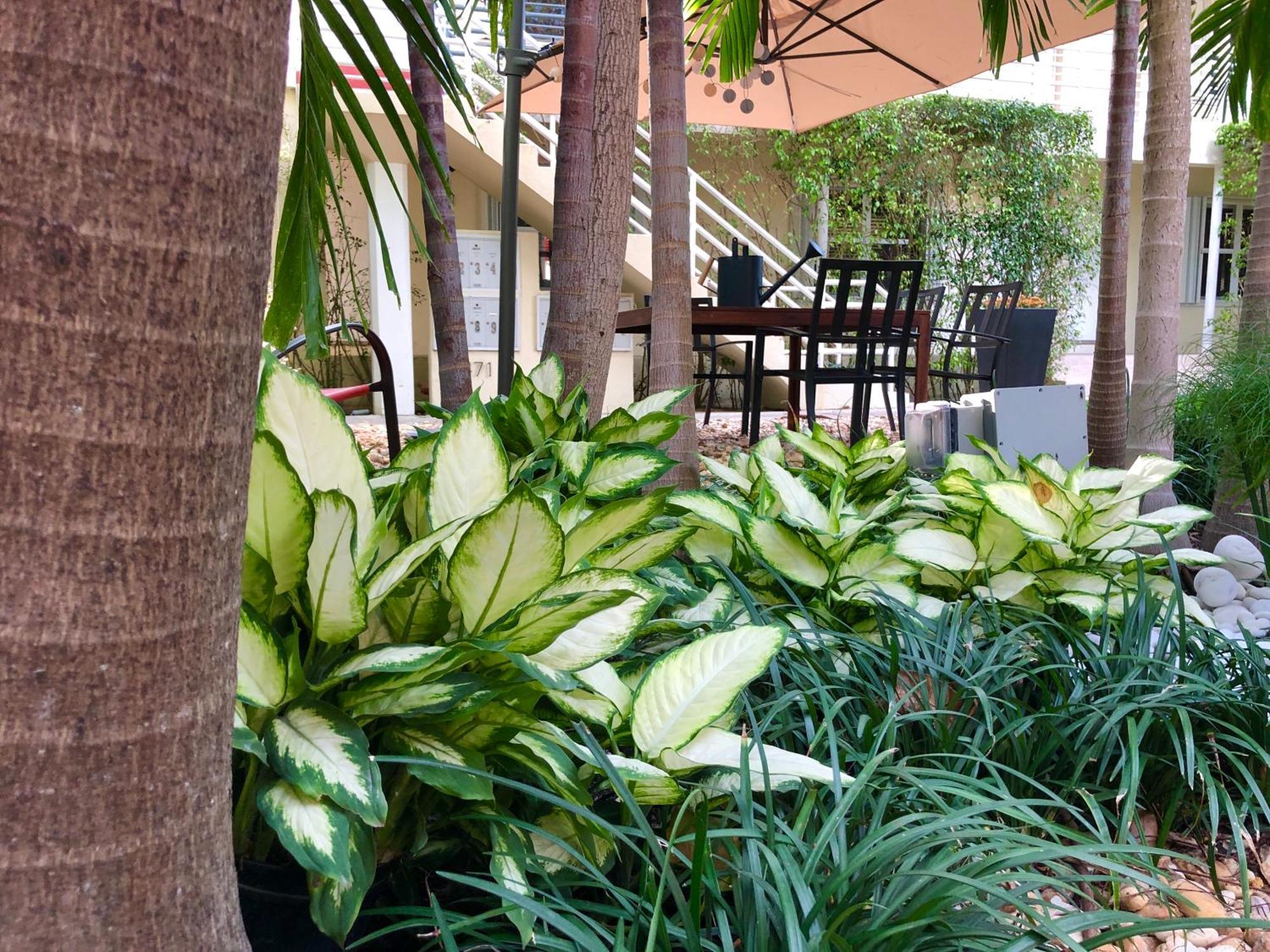 The Oasis Apartment Miami