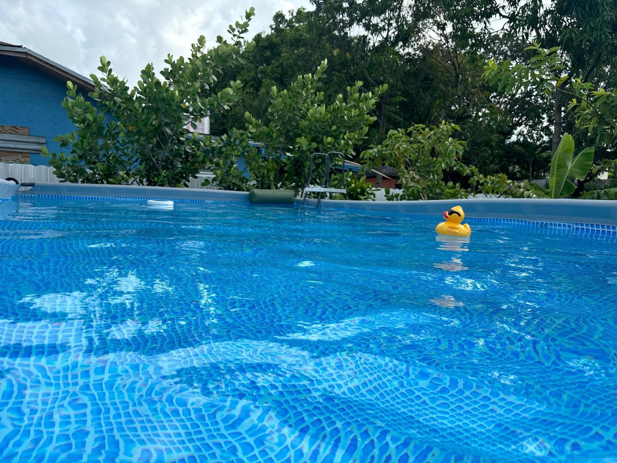Mini House Oasis Guest house Miami Springs