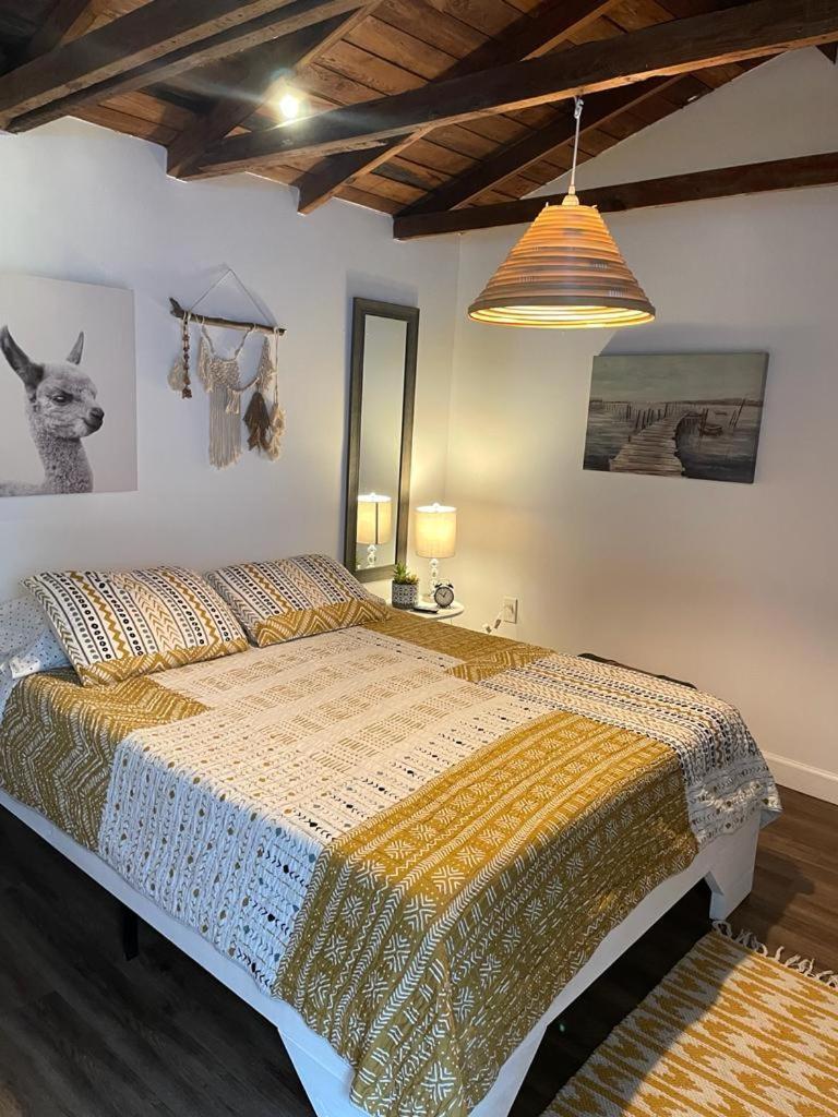 Apartment Private Steps From Calle 8 Miami