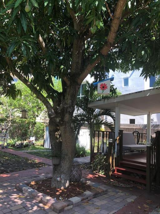 Apartment Independent In Little Havana *