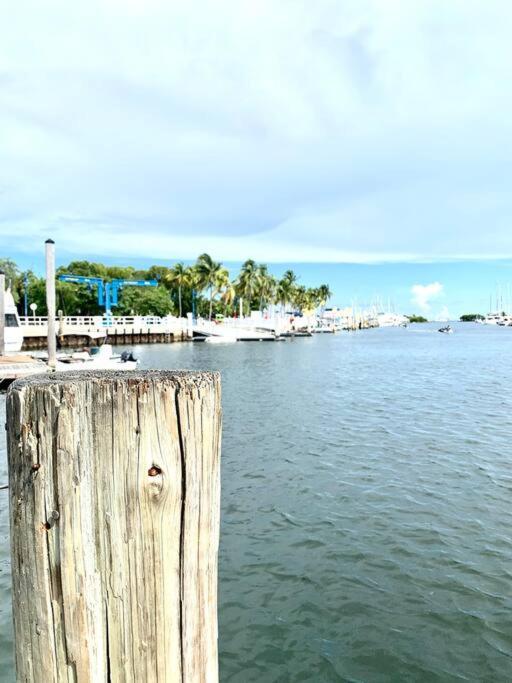 Apartment Groveo6 10 Minutes From The
