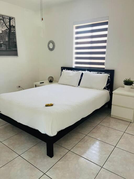 Ana House In * Miami