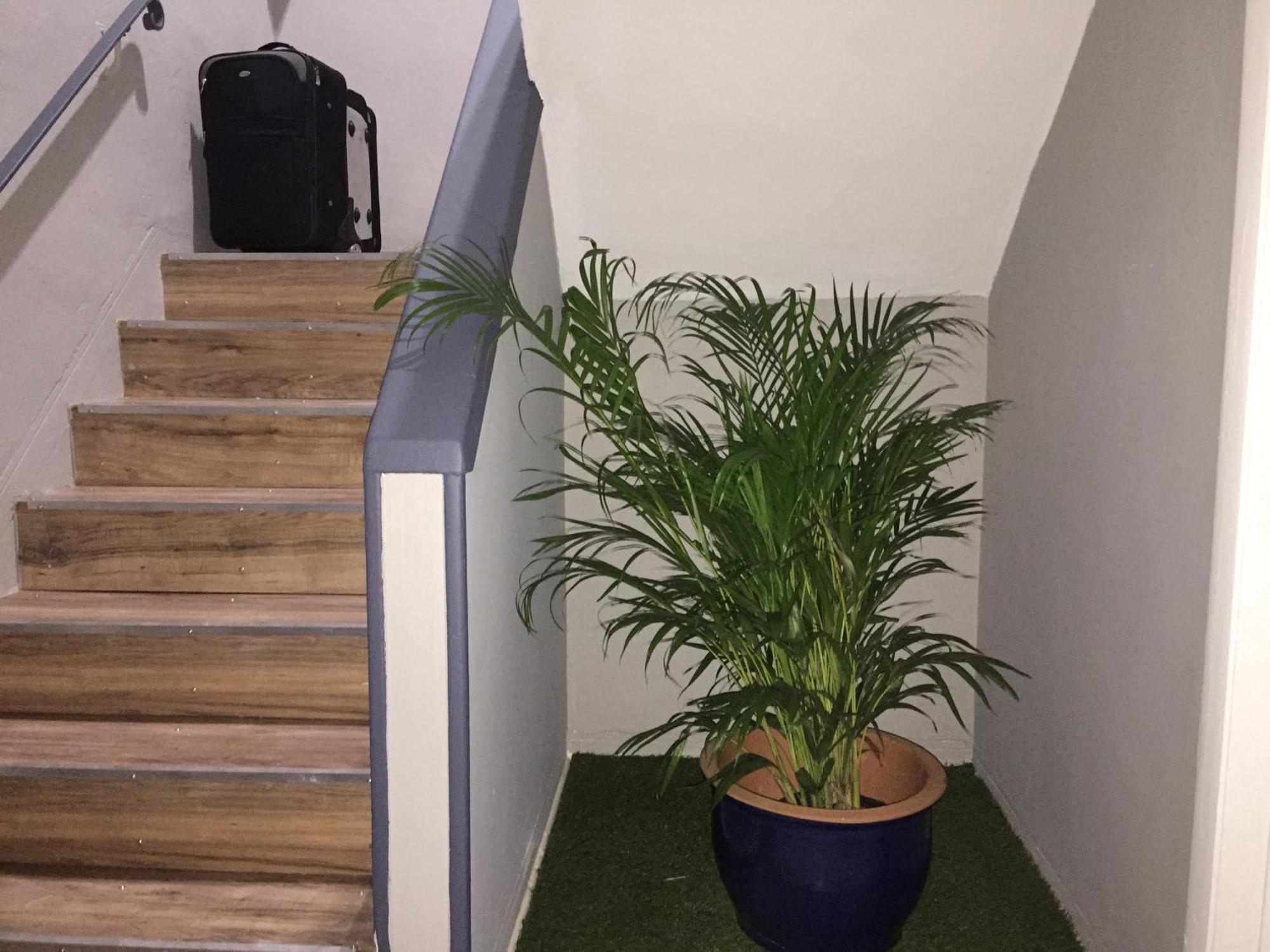 1br Apt W Free Parking And Wifi