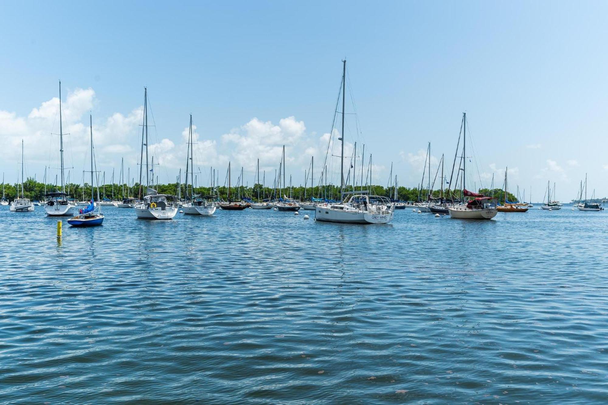 The Palms Coconut Grove 1 Bedroom Includes Parking *