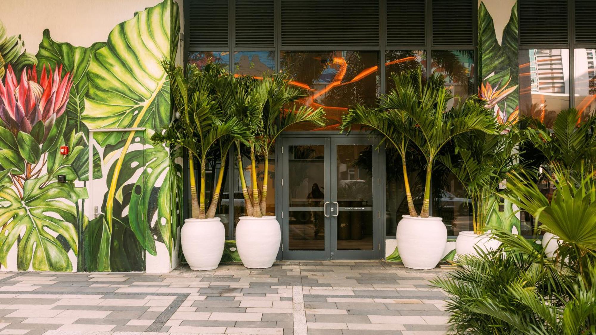Flow By Barsala * Miami