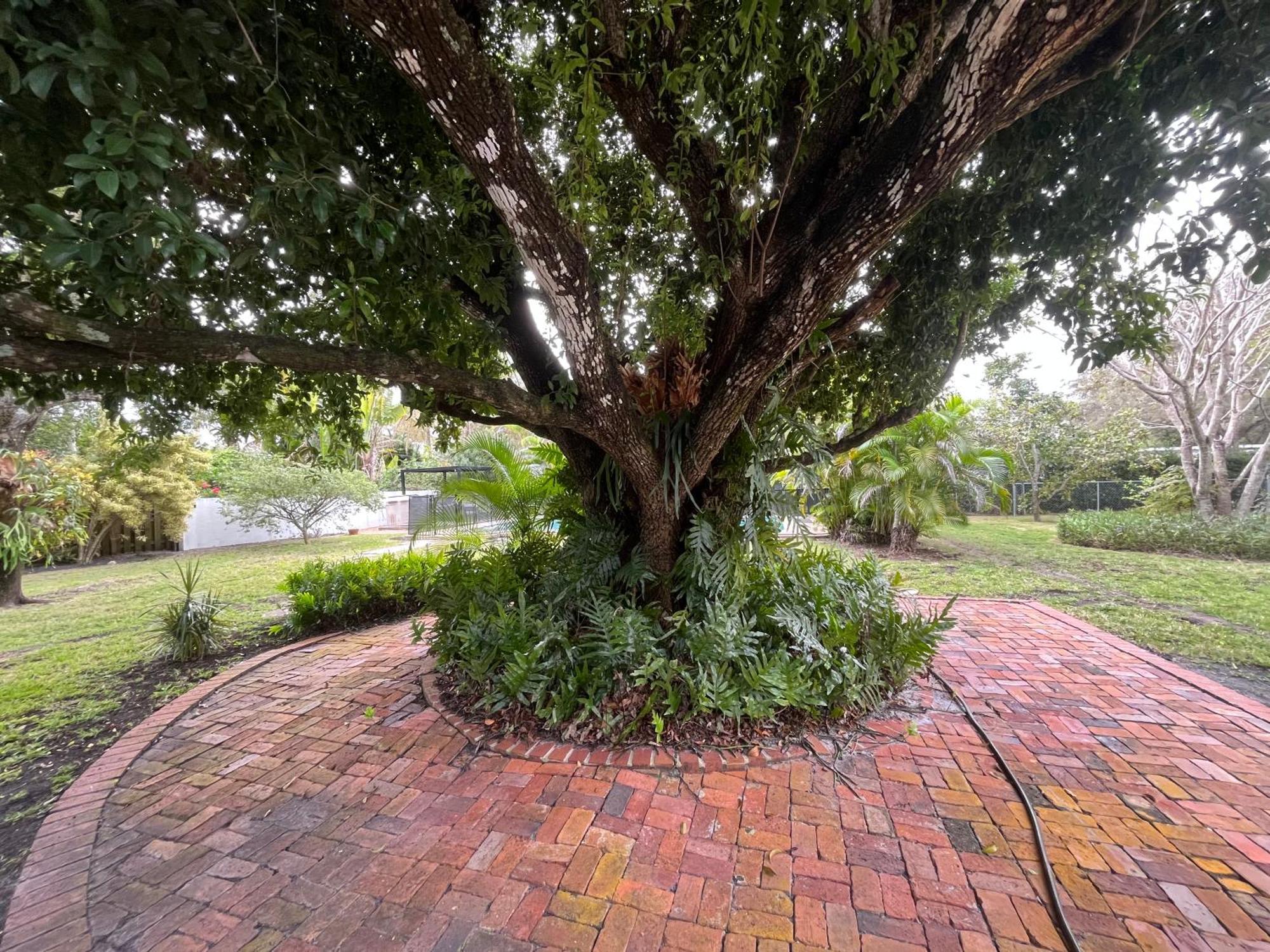 Family 4br Near Dadeland Mall Holiday home