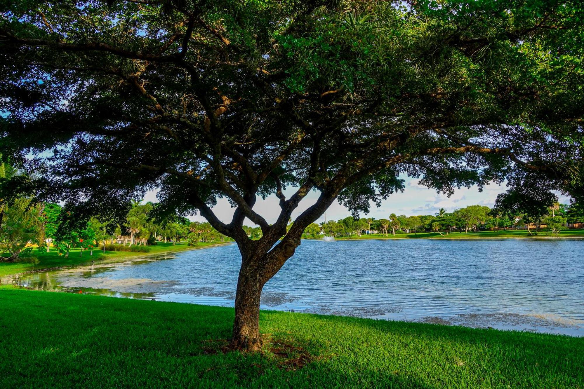 The Miamiville - Hidden Gem With Free Parking *