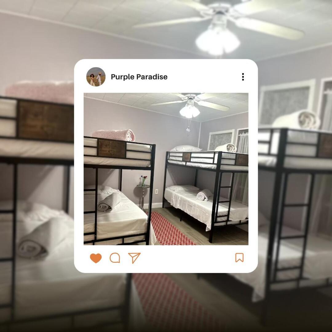 Apartment Purple Paradise Shared B2 *