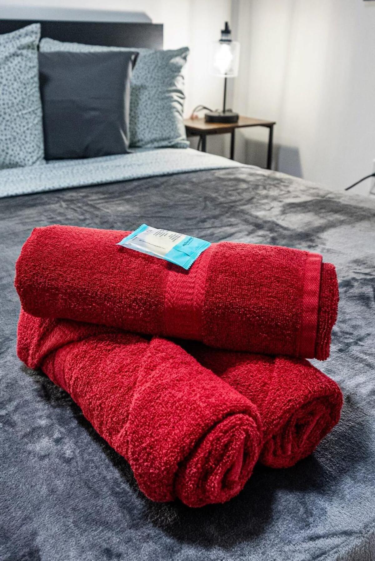 Apartment Huge 1 Bed Newly Renovated Free Parking