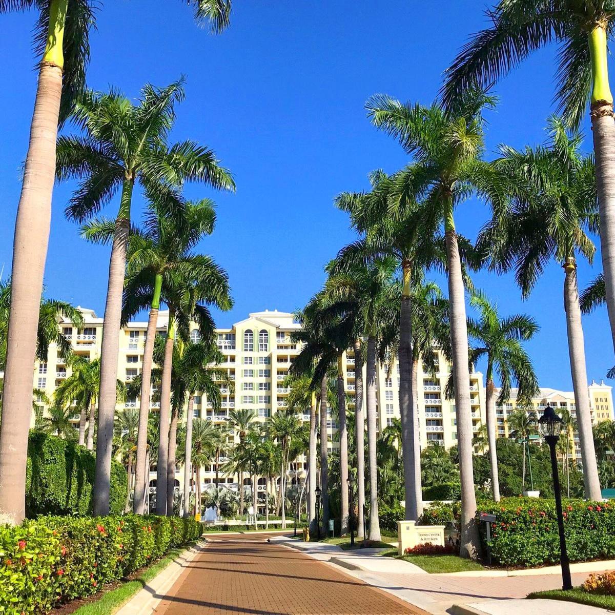 Perfect To Live Exp By The Apartamento Miami