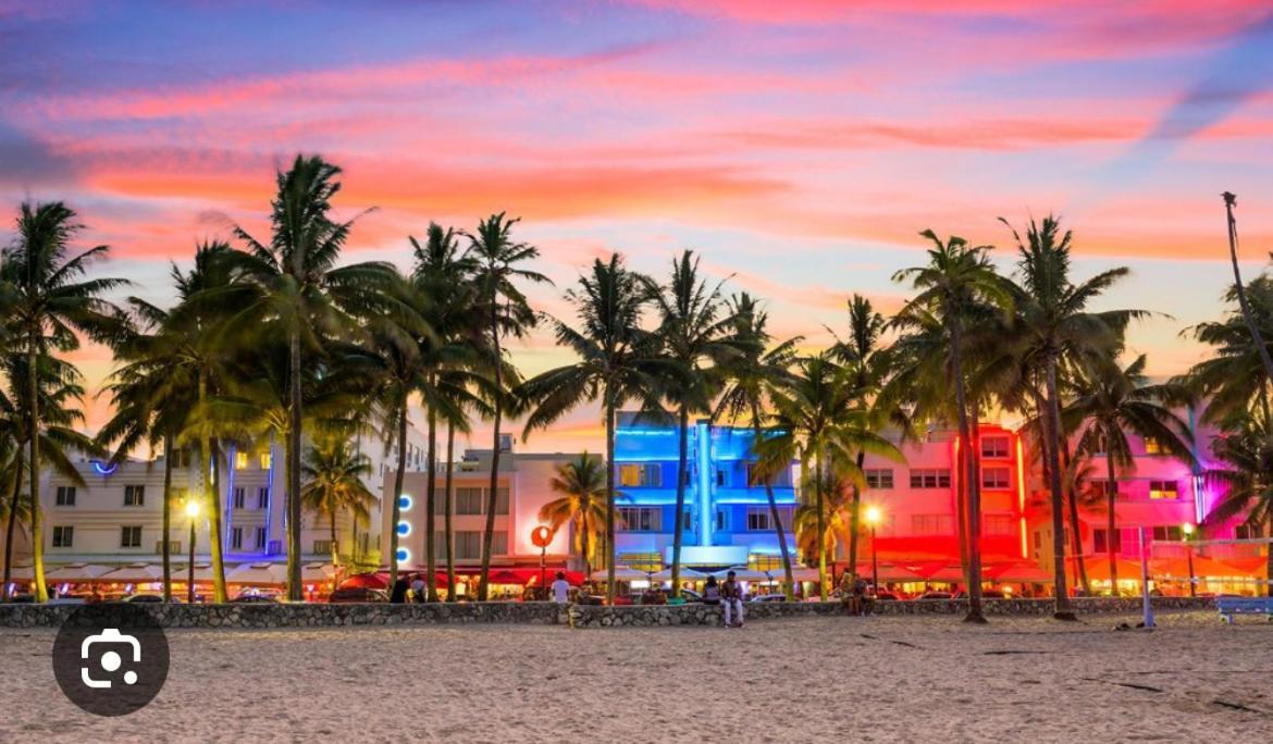 Modern House In The Heart Of Miami