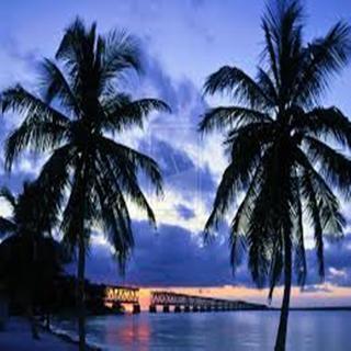 Homewood By Hilton Downtown/brickell Hotel Miami