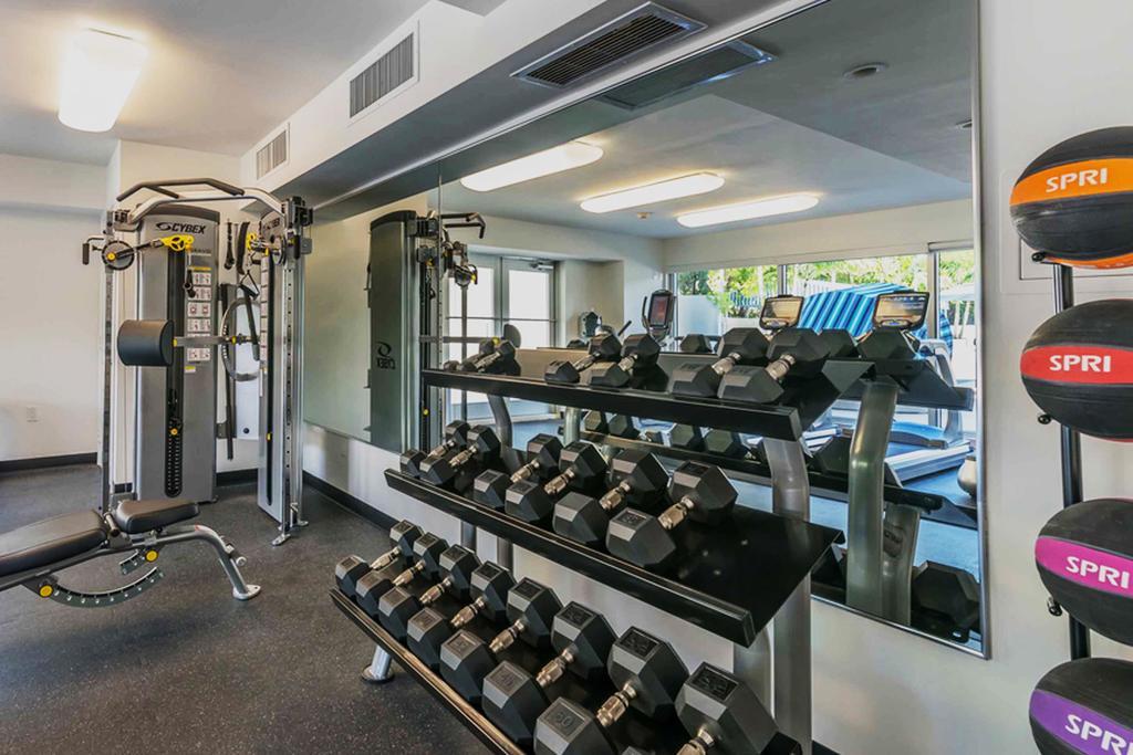 Large In Coconut Grove With Marina Views Apartment