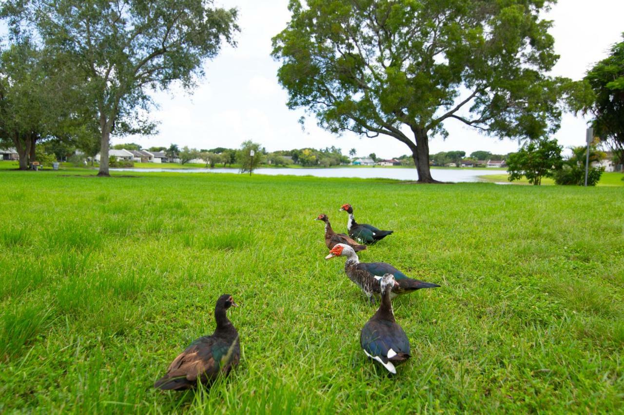 Nice Homestay Miami