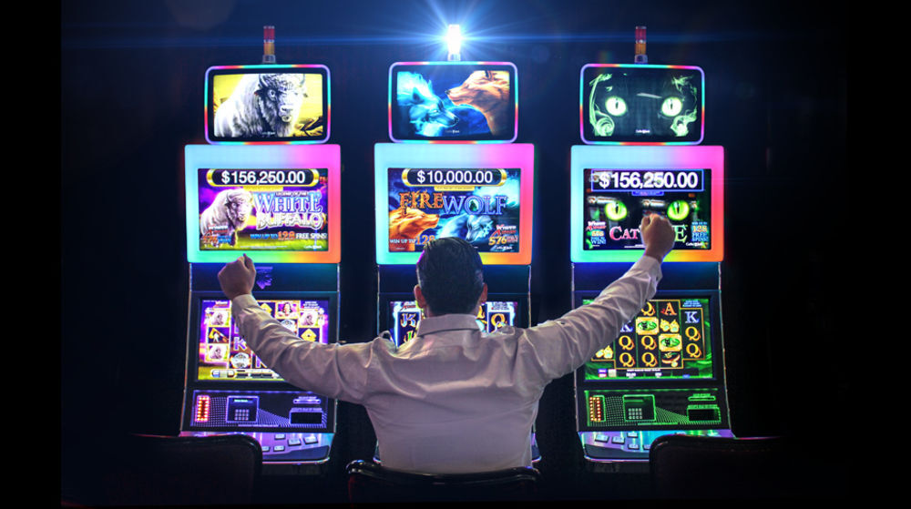 Resort Miccosukee Casino & (adults Only)