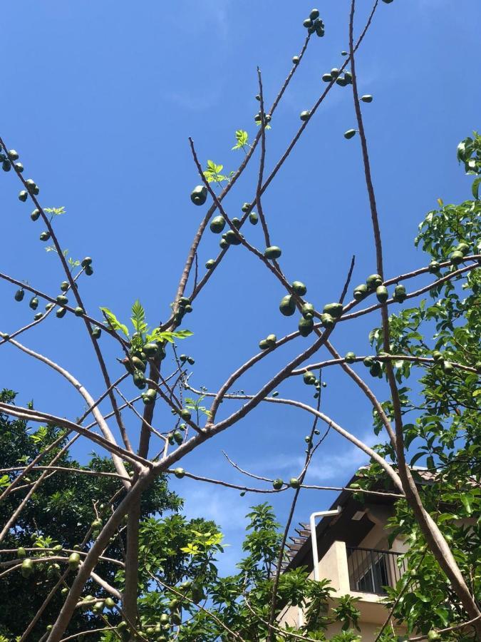 Private Next To Calle Ocho Homestay *