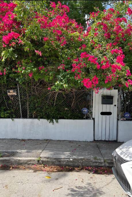 Art Deco Villa: Private Poolside Retreat Near Design District