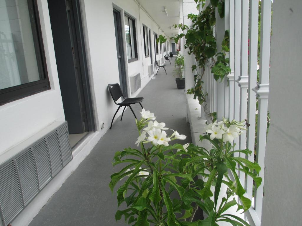Motel Shalimar Miami