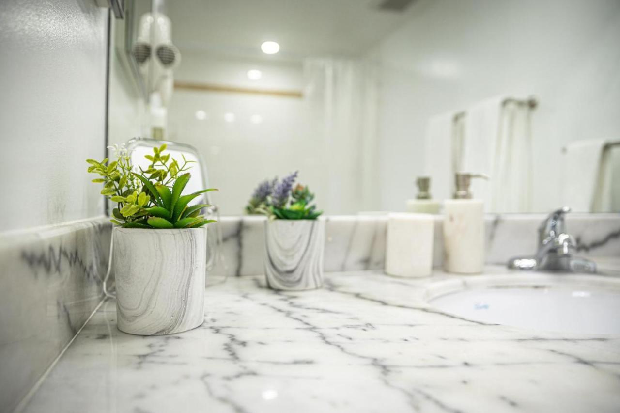 Modern And Luxurious Brickell Miami
