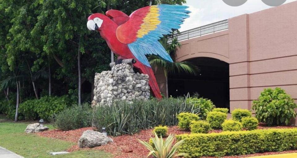 New Modern Cozy Apt Mins Away From South Beach And Wynwood Includes Free Parking Apartment