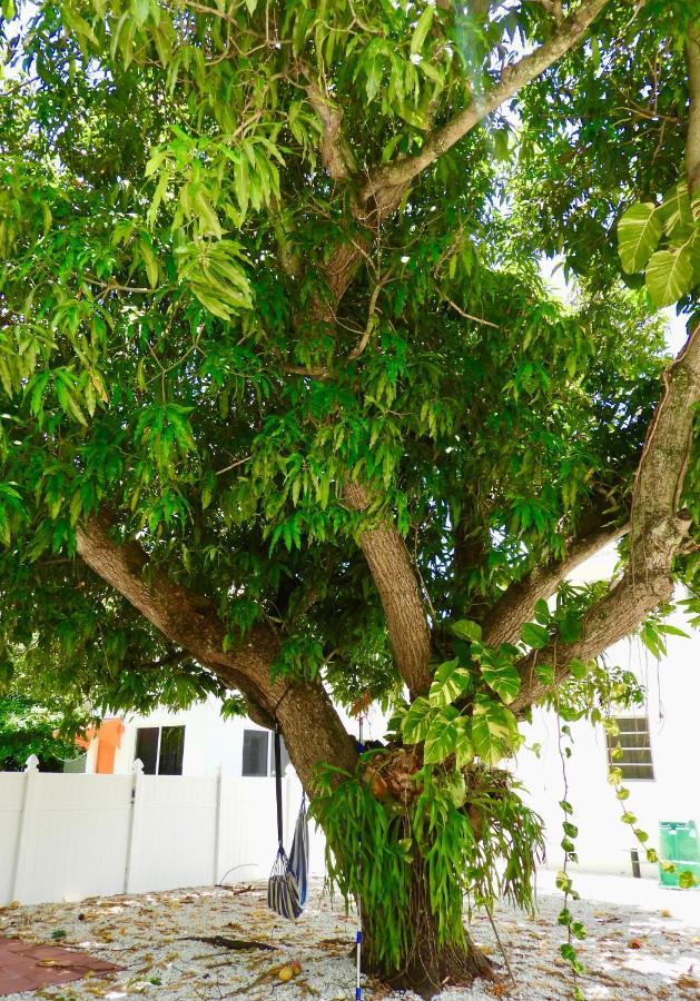 Beautiful Casita With King Bed And Private Patio Close To Calle 8, Mia Airport, Coral Gables Holiday home Miami