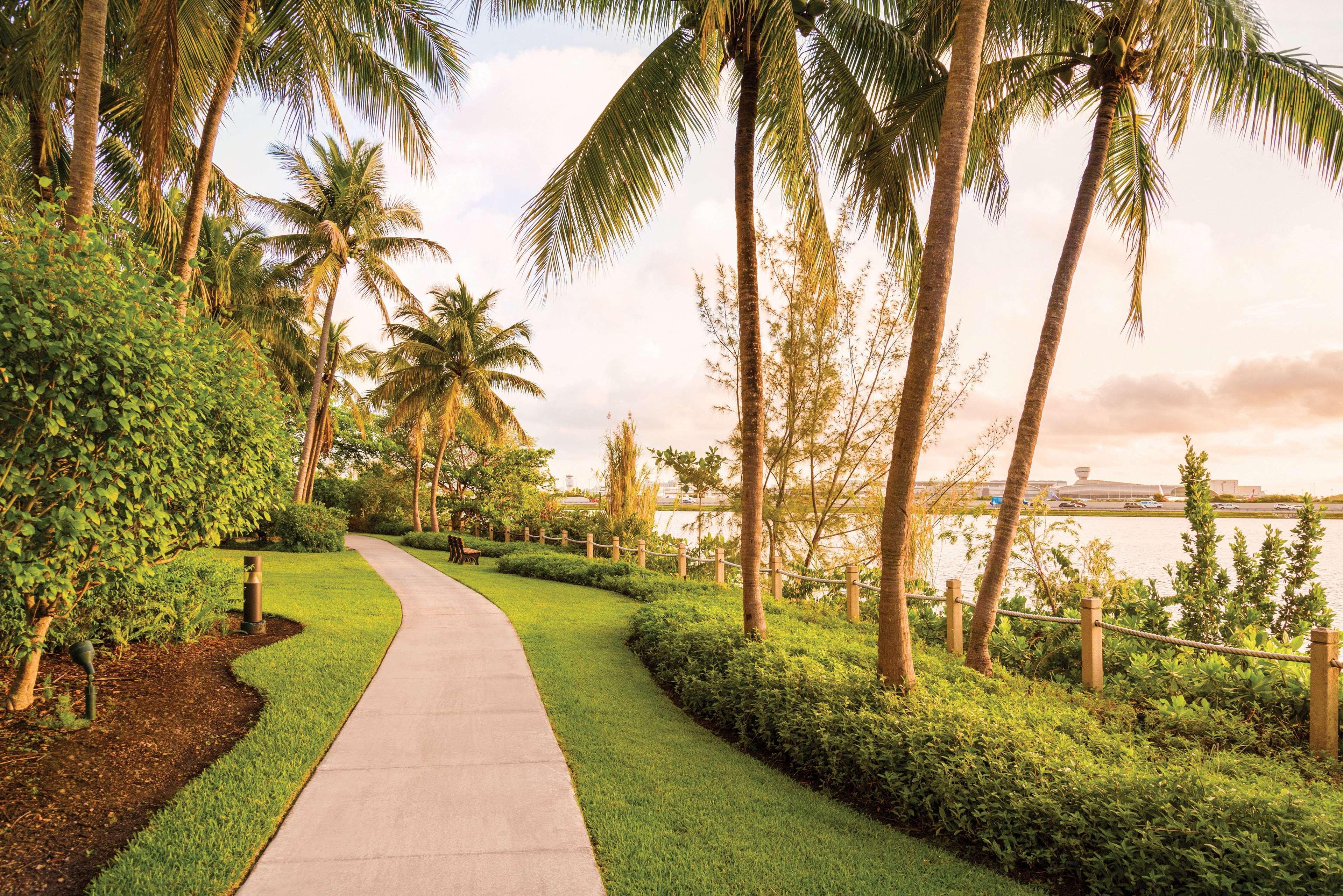Hilton Airport Blue Lagoon 4*