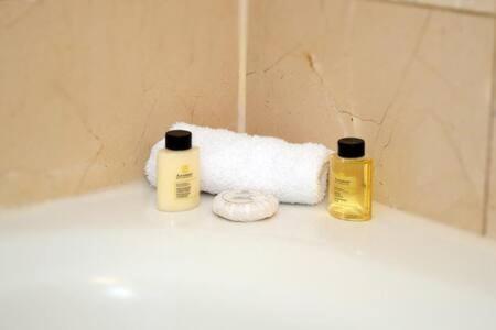 The Palms, Ocean View Located At Ritz Carlton - Key Biscayne * Miami